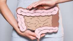 hands holding a model of the intestines