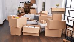 Moving boxes piled into room, small dog in center