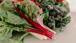 Chard and kale on a kitchen counter top.