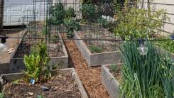 garden boxes waiting for plants