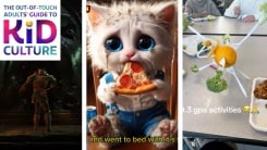 Oblivion, AI kitten, .03 GPA