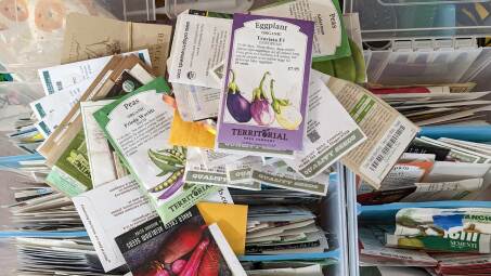 Seed packets