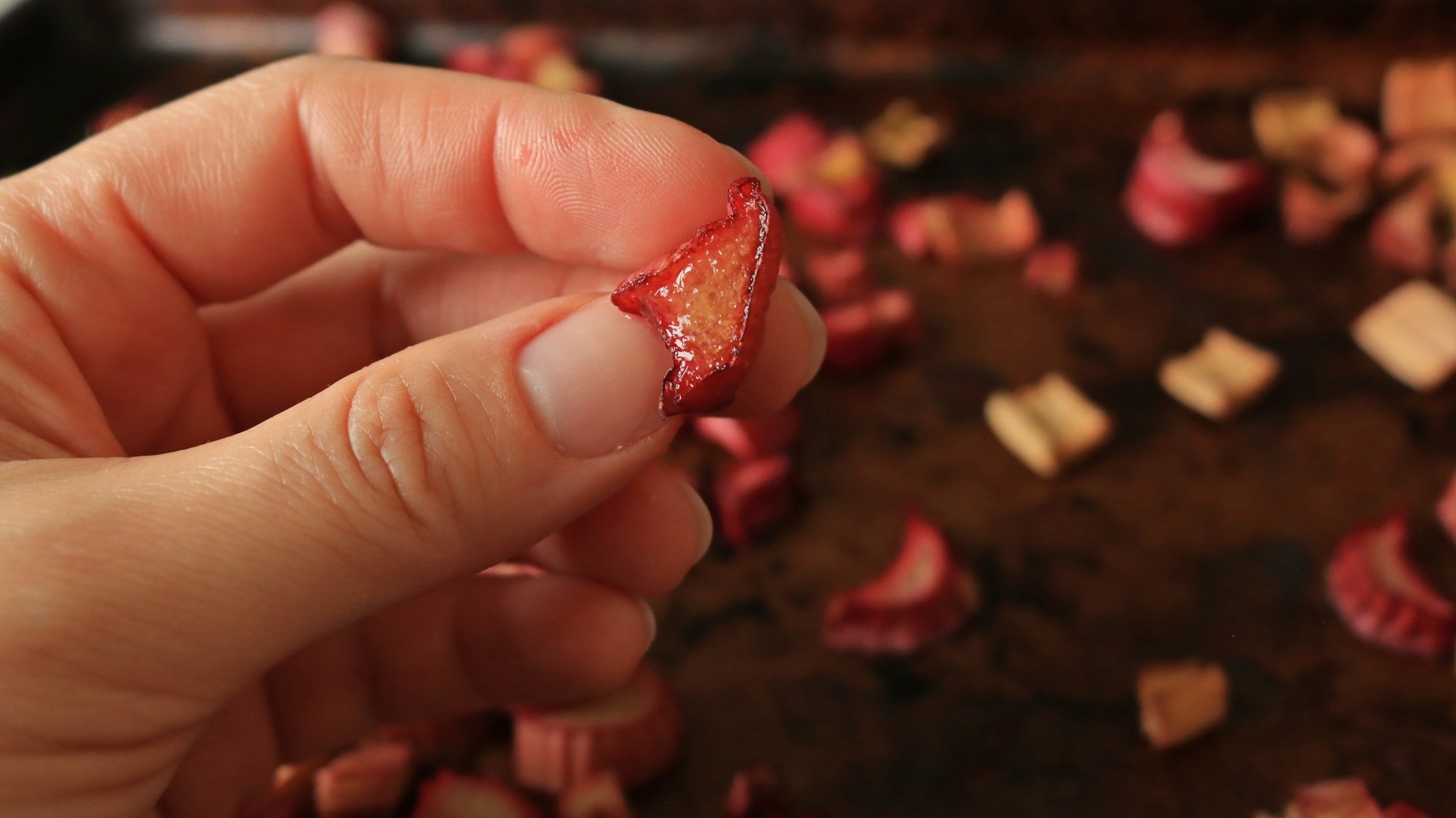 A hand holding a small piece of roasted rhubarb.