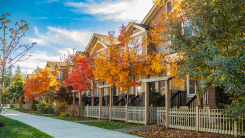 Neighborhood during autumn.