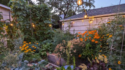 growing many different crops will yield more food