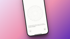 Perplexity AI Voice Assistant