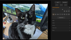 Mini PhotoEditor is cropping a picture of a tuxedo cat sitting on a desk with a monitor behind them.