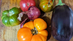 Tomatoes and eggplant on a wooden surface