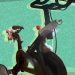peloton bike on an illustrated background